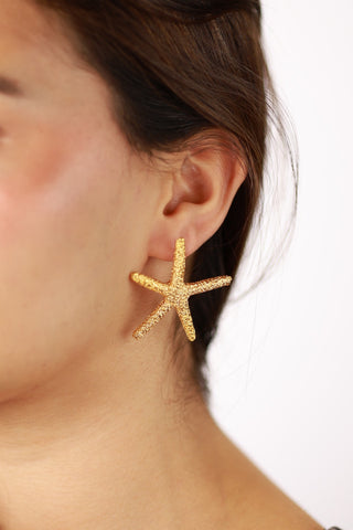 Bold Star