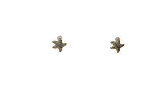 Star Fish